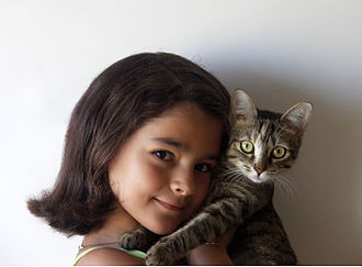 Internationaler Tag der Katze
