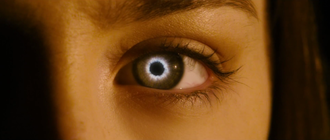 The Host (film 2013)